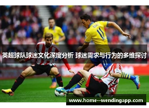 英超球队球迷文化深度分析 球迷需求与行为的多维探讨