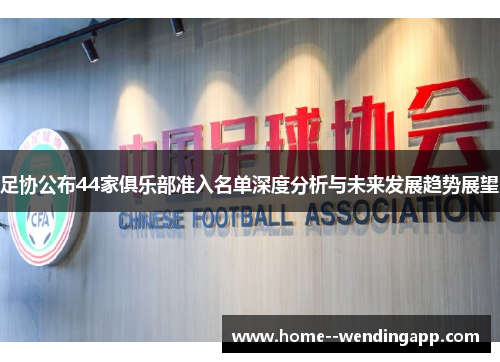 足协公布44家俱乐部准入名单深度分析与未来发展趋势展望