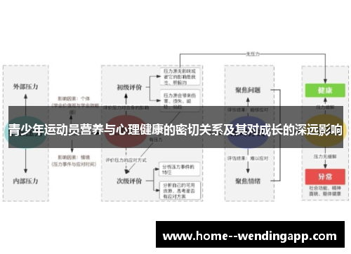 青少年运动员营养与心理健康的密切关系及其对成长的深远影响