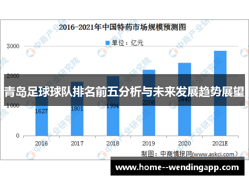 青岛足球球队排名前五分析与未来发展趋势展望
