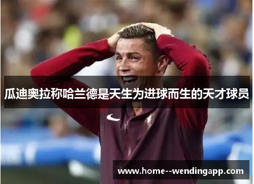 瓜迪奥拉称哈兰德是天生为进球而生的天才球员 瓜迪奥拉称哈兰德是天生为进球而生的天才球员