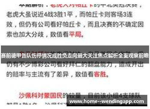 赛前德甲各队伤停情况成胜负走向最大关注焦点解析全面观察前瞻 赛前德甲各队伤停情况成胜负走向最大关注焦点解析全面观察前瞻